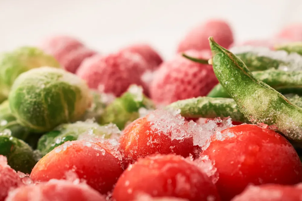 Des solutions de croûtage adaptées à tous vos produits agroalimentaires